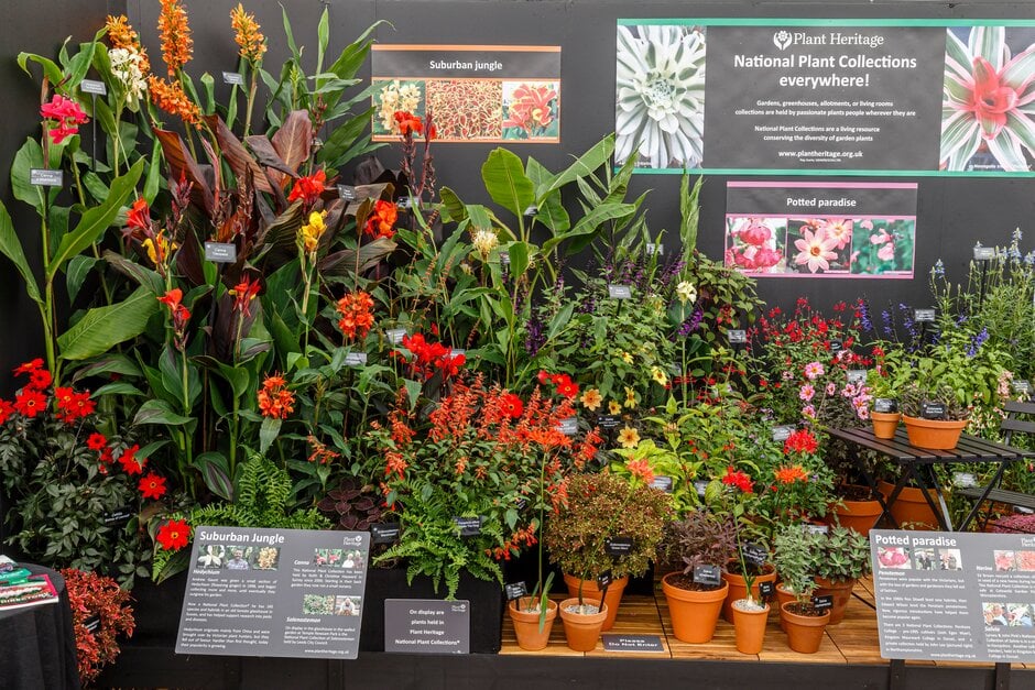 Plant Heritage Plant collections display