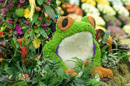 frog themed floral display