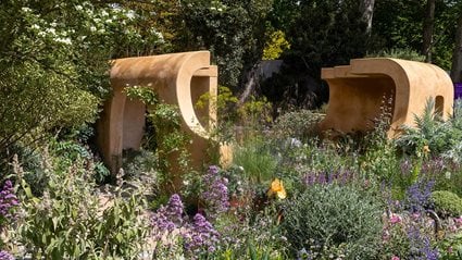 Lady Garden Foundation &lsquo;Silent No More&rsquo; Garden
