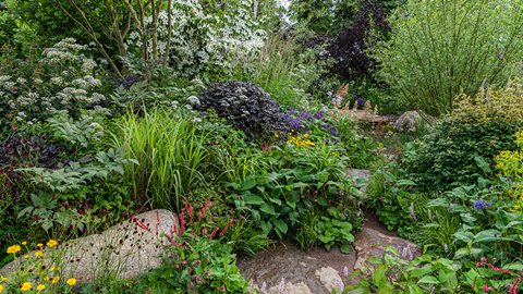 Sculpted earth mounds create ideal conditions for both moisture- and drought-loving plants, meaning the garden should thrive, whatever the weather brings