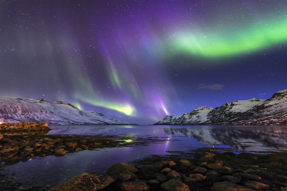 Northern light cruise