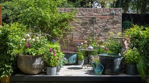 The Whittard of Chelsea Garden