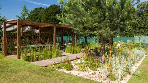 A taste of a Baltic seaside pine forest comes to Tatton, where wild pines and willows mix with jewel-like cultivated flowers.