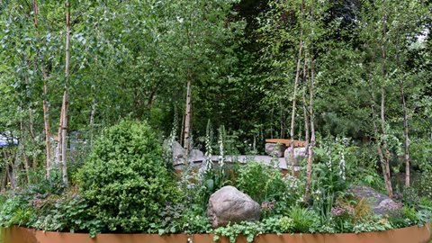 The circular design of Family Monsters features a relaxed border of birch and woodland-inspired, pollinator-friendly planting surrounding a central pool