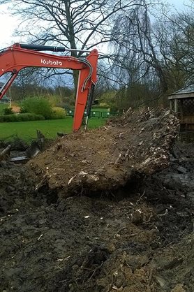 Digger removing tree roots