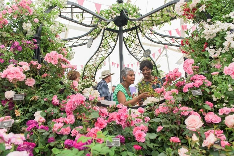 Visitors enjoy the Festival of Roses