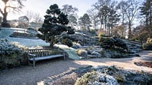 Visit Wisley in winter