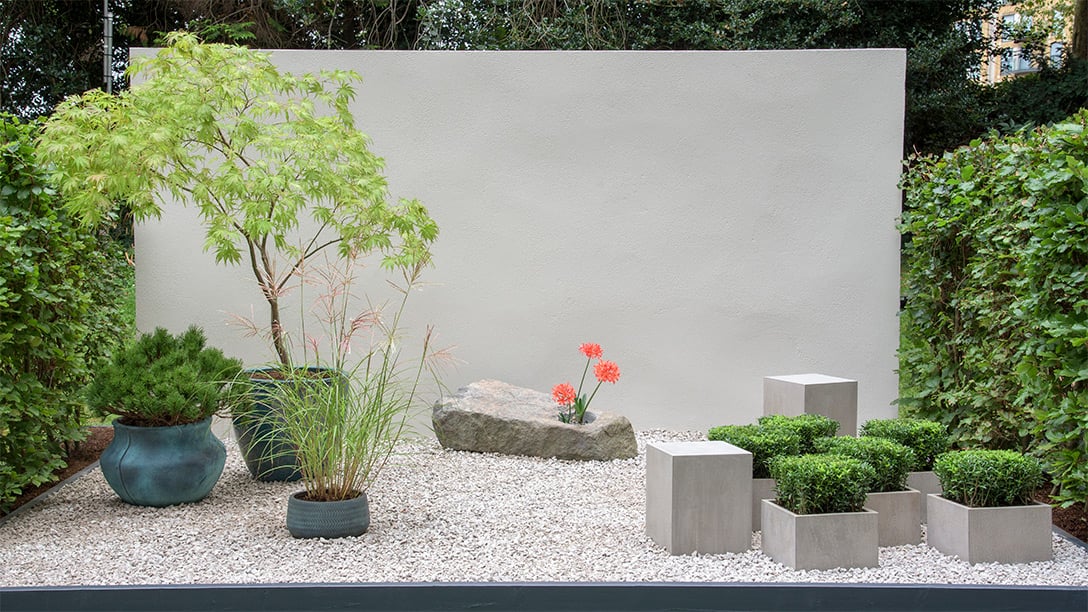 A Tranquil Space in the City
