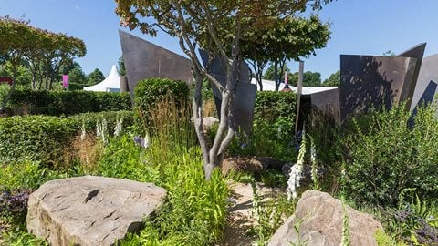The large rugged rocks sit amid soft planting and are placed against the backdrop of bronze fins and trees to give the garden an intimate feel