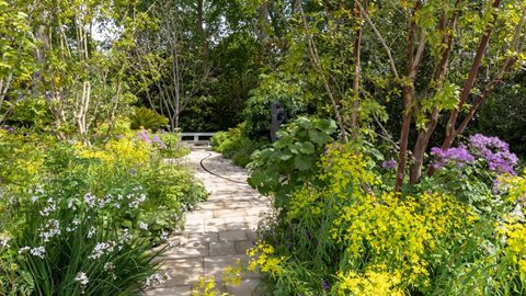 The Tate Britain Garden