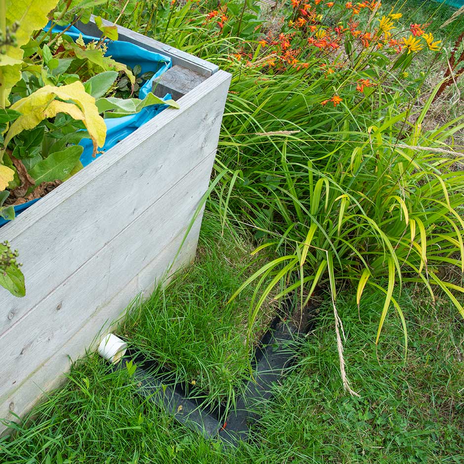 Build a rain garden to reduce erosion