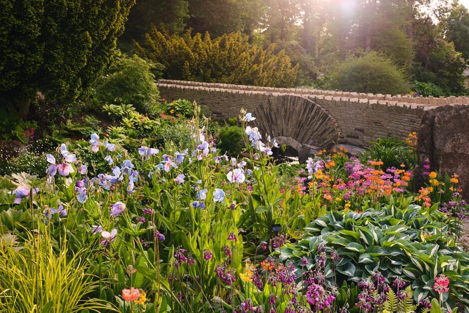 The Friendship Bridge at RHS Garden Harlow Carr