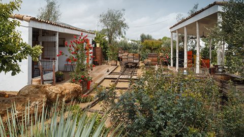 An orange grove merges into shrubs and trees typical of the Mediterranean with olives, pepper trees (<em>Schinus molle</em>), mastic (<em>Pistacia lentiscus</em>) and gnarled old pomegranate trees