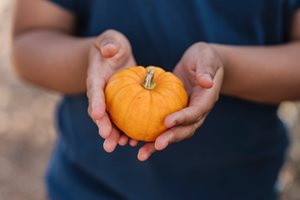 Learning to garden at Redcatch Park