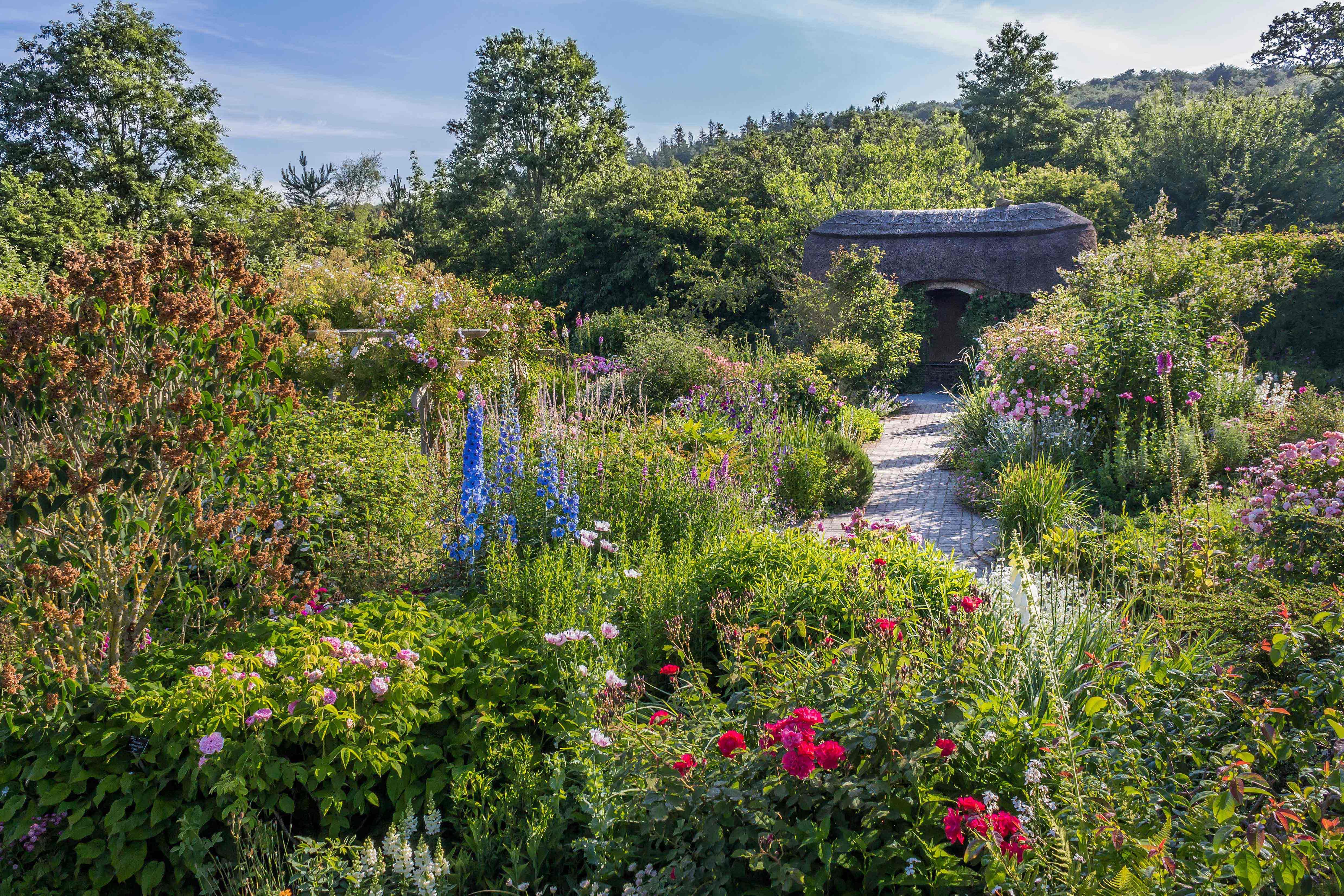 The Cottage Garden in Summer