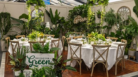 Nice Day for a Green Wedding