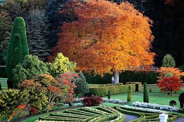 Autumn colour at Drummond Castle Gardens. Image: Kathy Colins