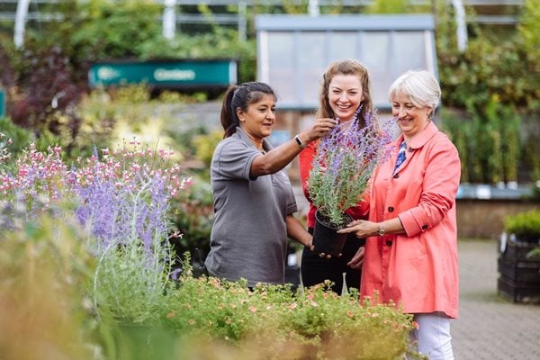 person shopping for small plant from the shop