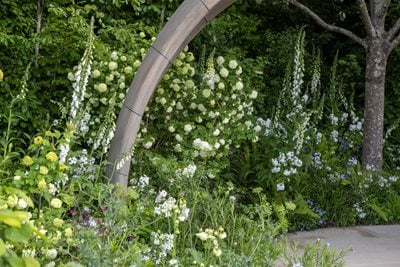 Parkinson’s UK – A Garden for Every Parkinson’s Journey