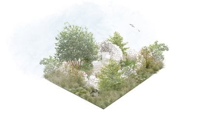 Blue Diamond Garden Centres: Where Grief Grows Quiet