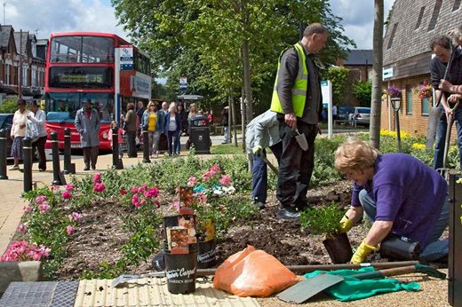 Volunteers planting roses in Kings Heath in Birmingham