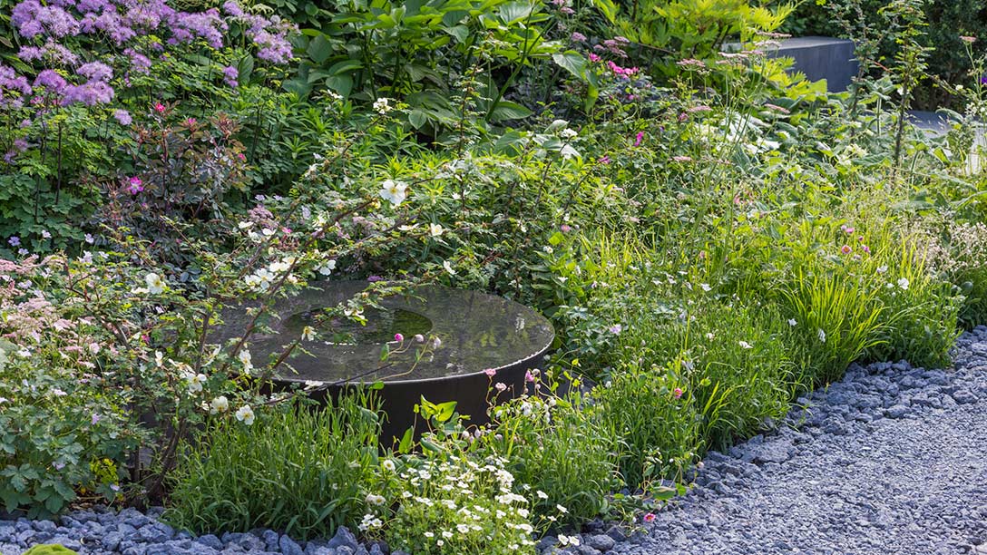 See The Linklaters Garden for Maggie's at RHS Chelsea Flower Show 2017