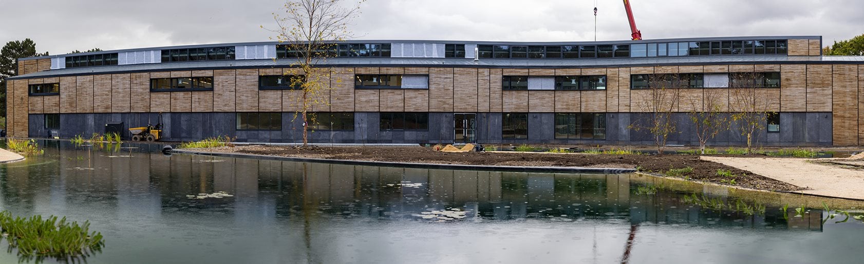 photograph of the garden