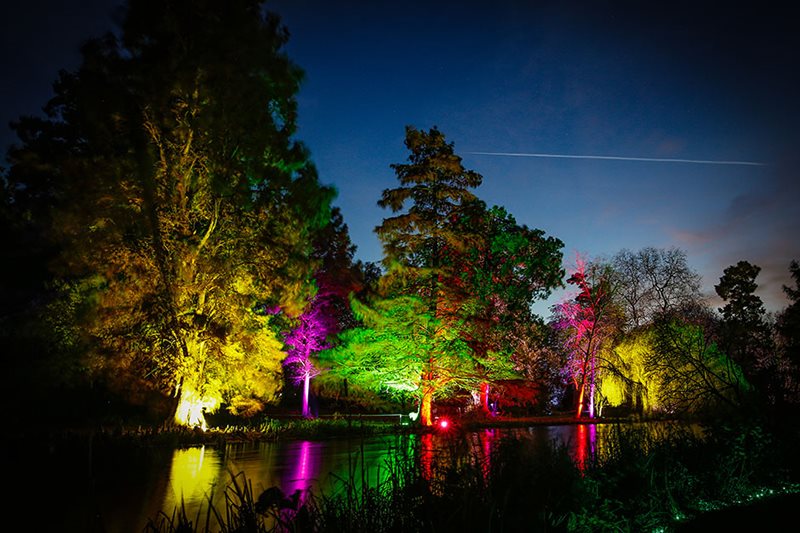 Enchanted Forest illuminations at Syon Park. Image: Simon Hadleigh-Sparks