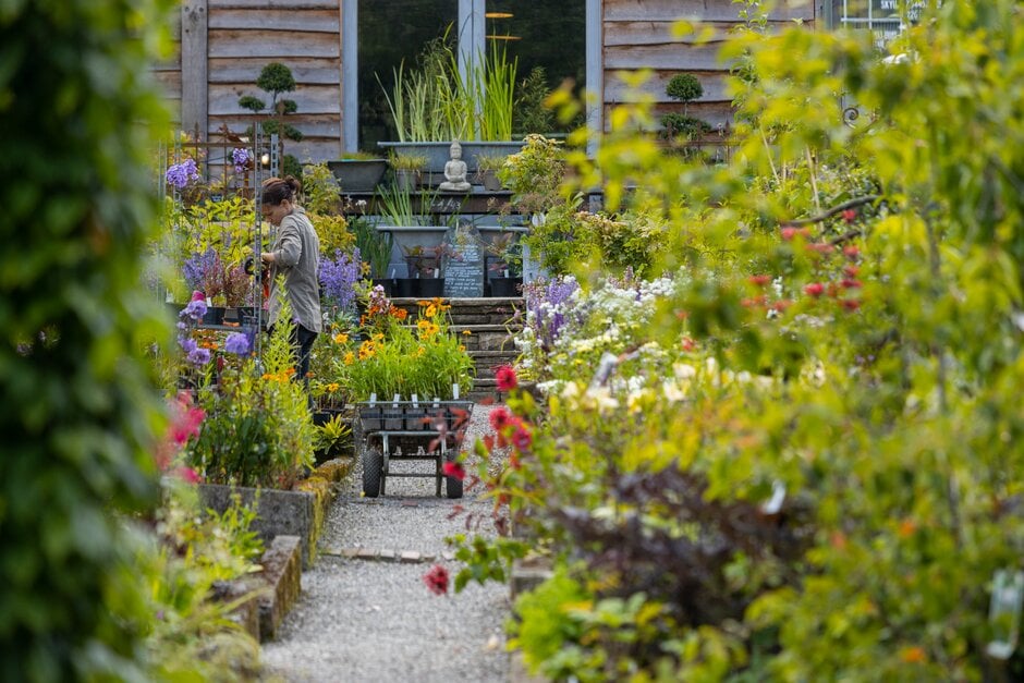 Child funning through Holden Clough Nurseries