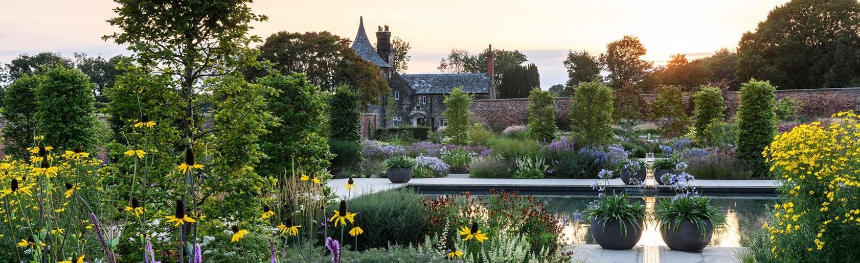 photograph of the garden