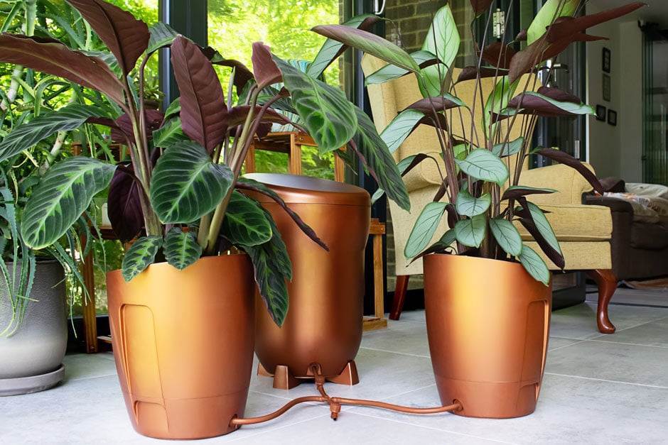 Autopot Autopot