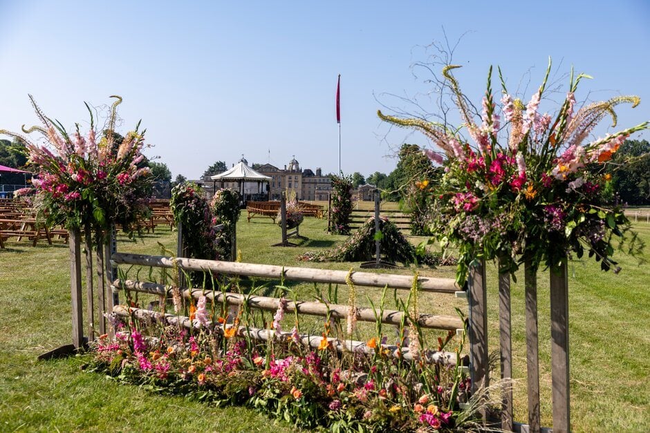 horse jumps