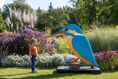 A child playing with a Brick Explorers kingfisher