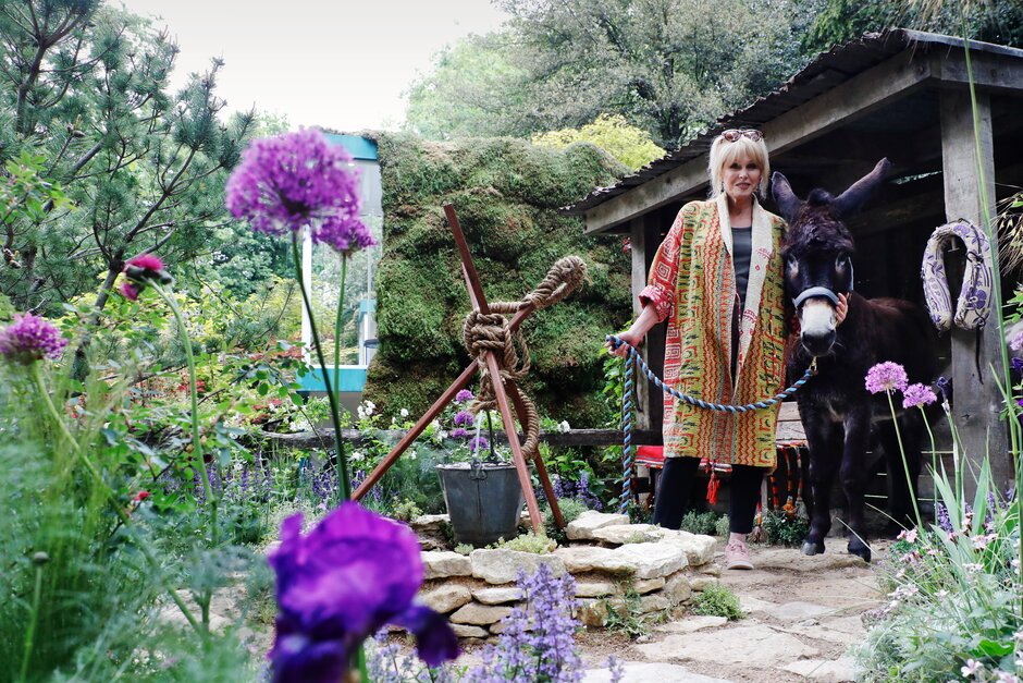 Joanna Lumley poses with a donkey in The Donkey Sanctuary garden at Chelsea
