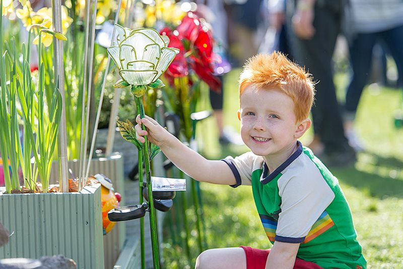 A child looking at flowers on a tradestand