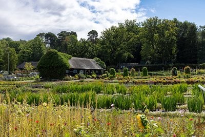 RHS Wisley Trial Garden in autumn