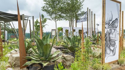 The Poisonous Garden