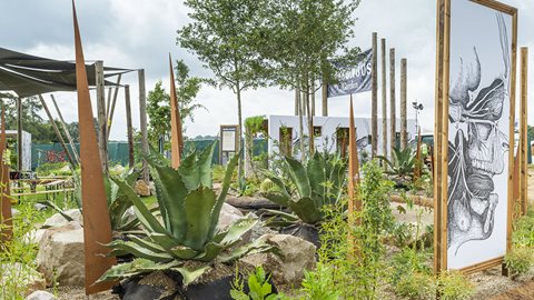 A walk-through, eerie feature divided into four areas with all plants chosen because they have some level of toxicity or healing.