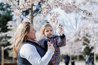 Mother and daughter looking at cherry blossom