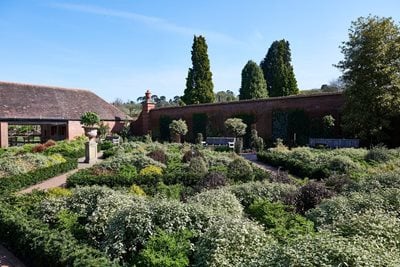 Using box alternatives in a walled garden