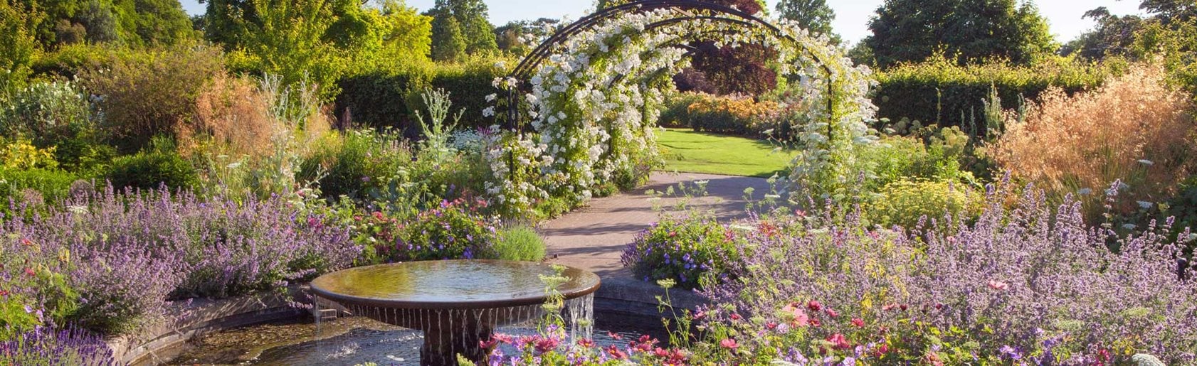 photograph of the garden