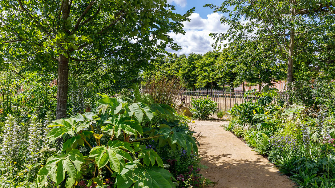 Iconic Horticultural Hero Garden &ndash; Sarah Eberle