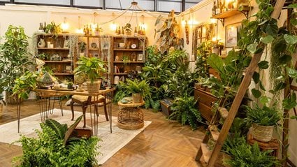 <p>The Scholar&rsquo;s Jungle</p>
