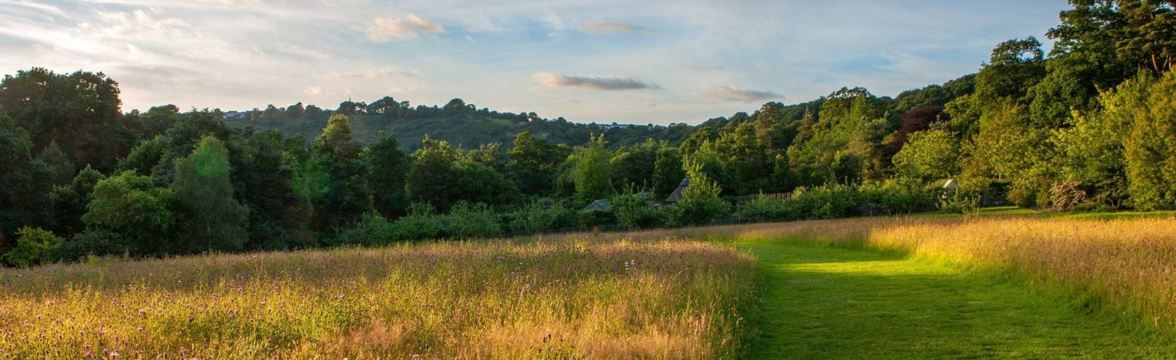 photograph of the garden