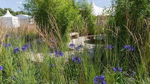 Dark blue globes of <em>Agapanthus</em> sit between spiky <em>Calamagrostis acutiflora</em> as the paths converge on the central patio.