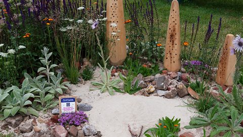 Buglife: The B–Lines Garden