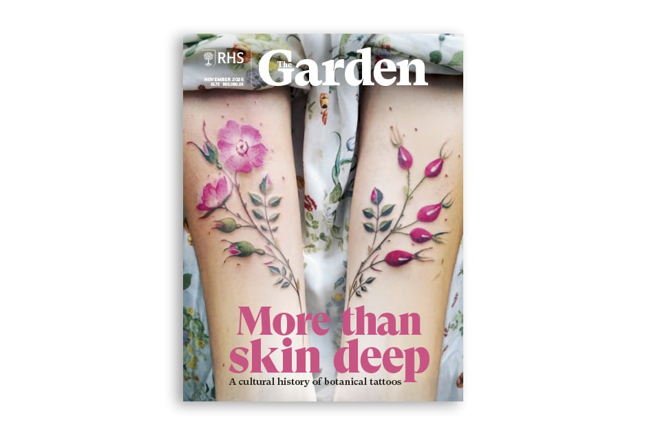 Explore the history and enduring appeal of botanical tattoos. Discover the remarkable Rosa &lsquo;Geranium&rsquo; AGM and the botanical behemoth behind it. Brighten your home with colourful Echeverias to lift the dreariest of days. Find out which trees four specialists recommend for bees. Finally, visit a small London garden that celebrates the changing seasons.Available for members on RHS The Garden app.