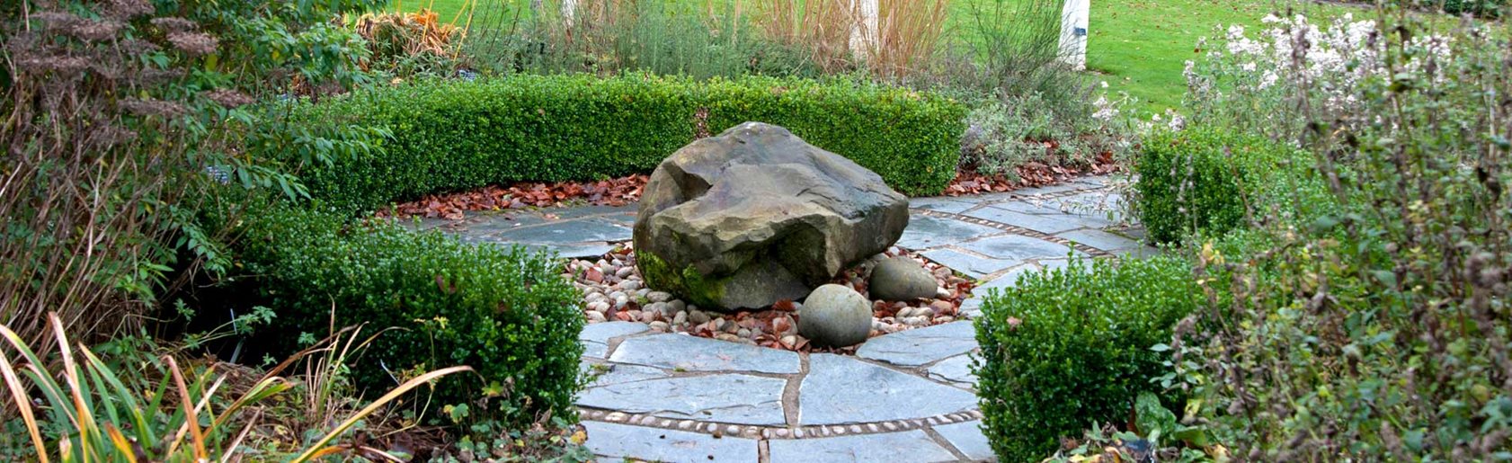 photograph of the garden