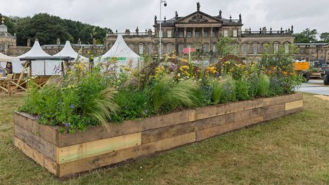 What is this life if, full of care, we have no time to stand and stare?