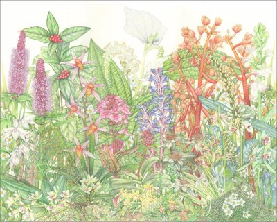 Botanical Art and Photography Show
